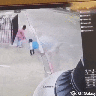 Gif Gallery
