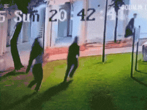 Gif Gallery