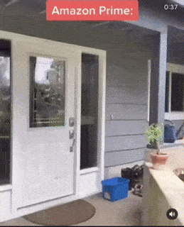 Gif Gallery