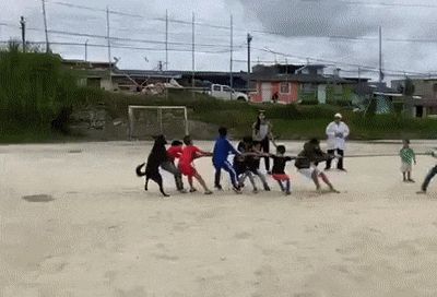 Gif Gallery